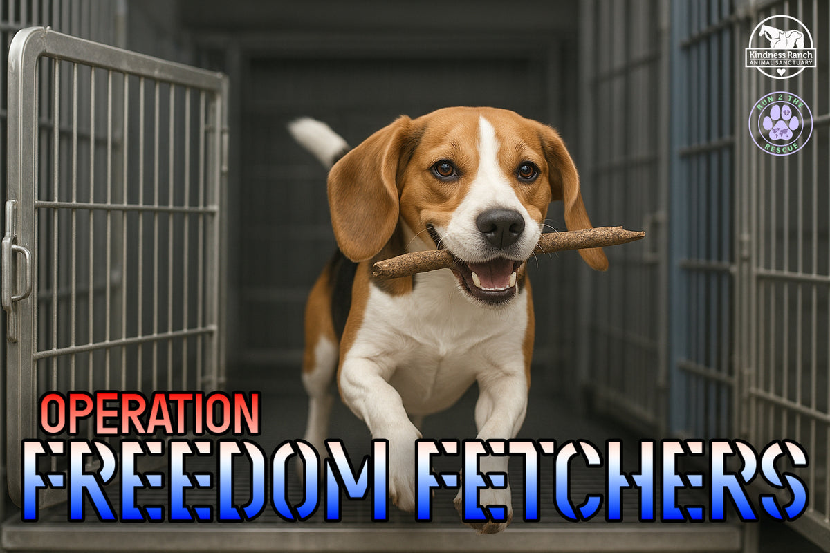 Foster Program Short Term Foster Care For Dogs Fostering Saves