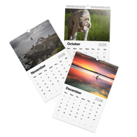 Kindness in Focus Wall calendar (2026)