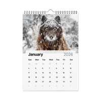 Kindness in Focus Wall calendar (2026)