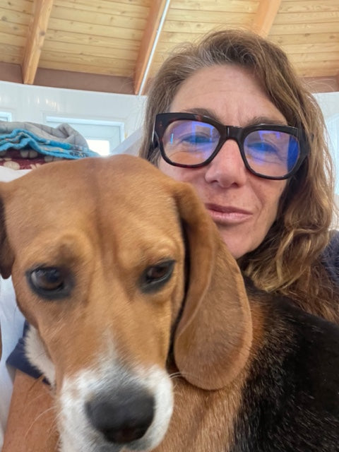 Hello from Dog Yurt 1