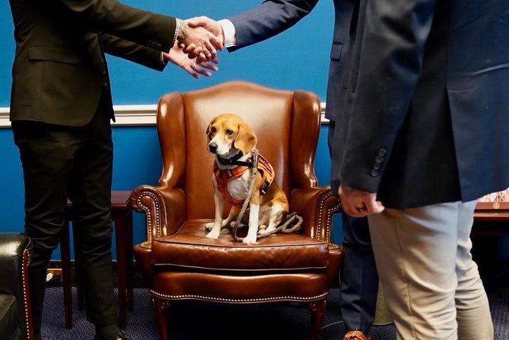 Signal and Noise - Kindness Ranch Is the&nbsp;Signal