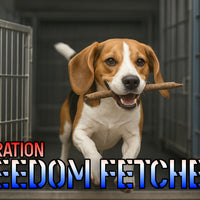 Support Operation: Freedom Fetchers