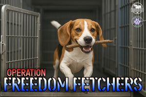 Support Operation: Freedom Fetchers