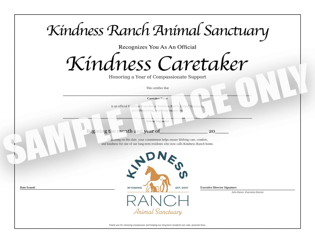 Kindness Caretaker