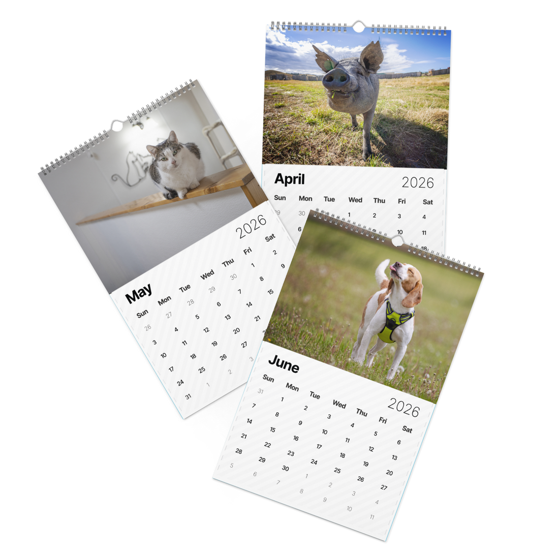 2026 "A Year of Kindness" Calendar