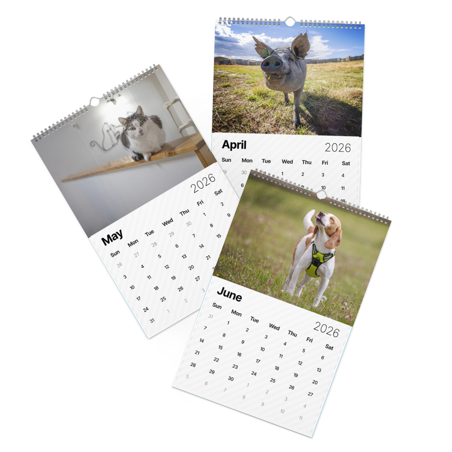 2026 "A Year of Kindness" Calendar