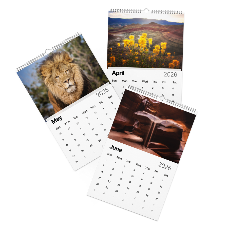 Kindness in Focus Wall calendar (2026)