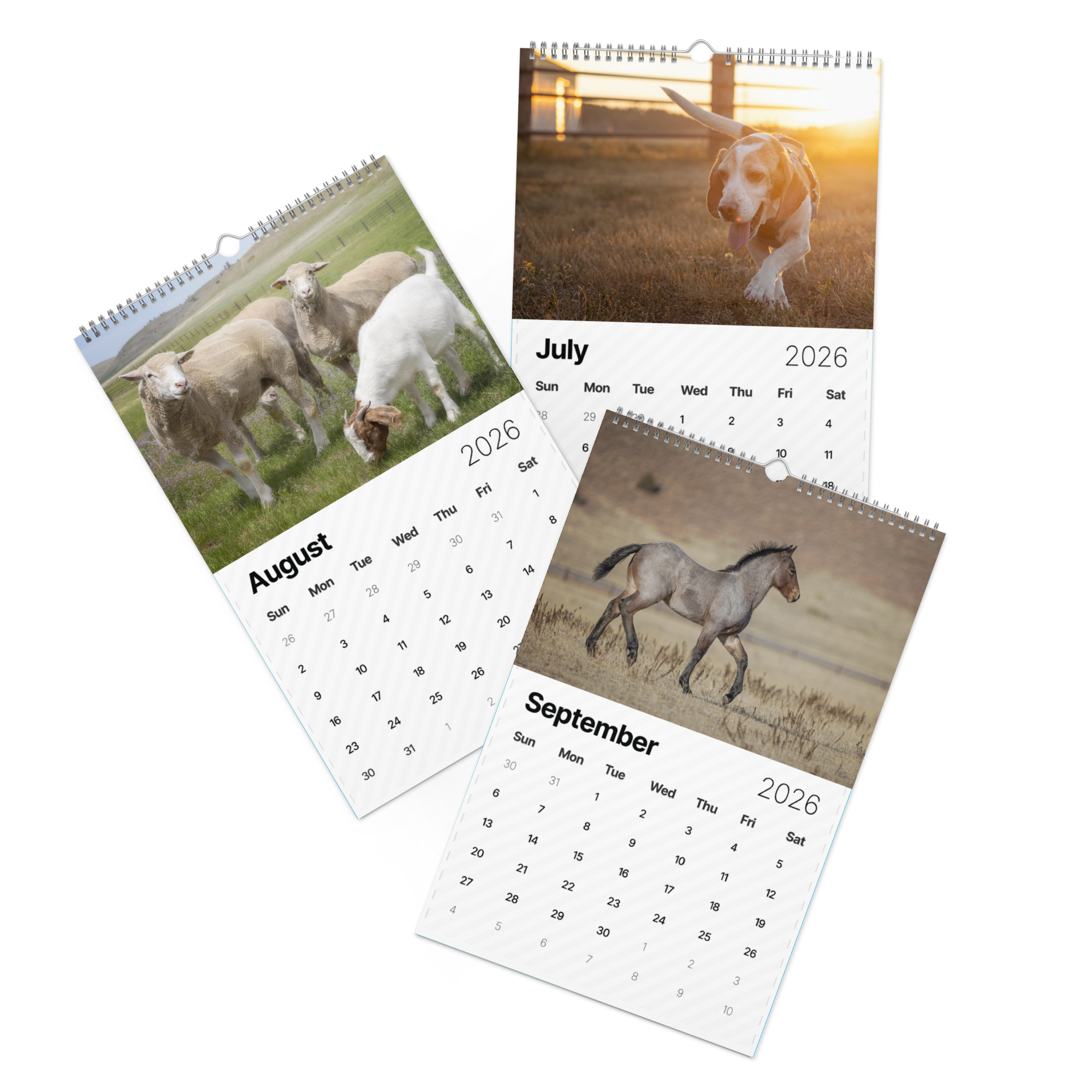 2026 "A Year of Kindness" Calendar