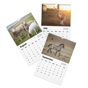 2026 "A Year of Kindness" Calendar
