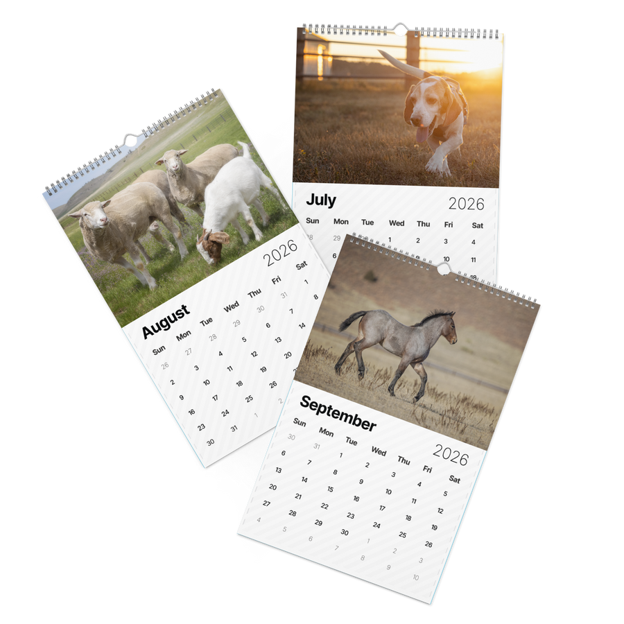 2026 "A Year of Kindness" Calendar