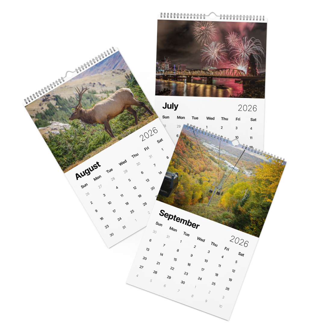 Kindness in Focus Wall calendar (2026)