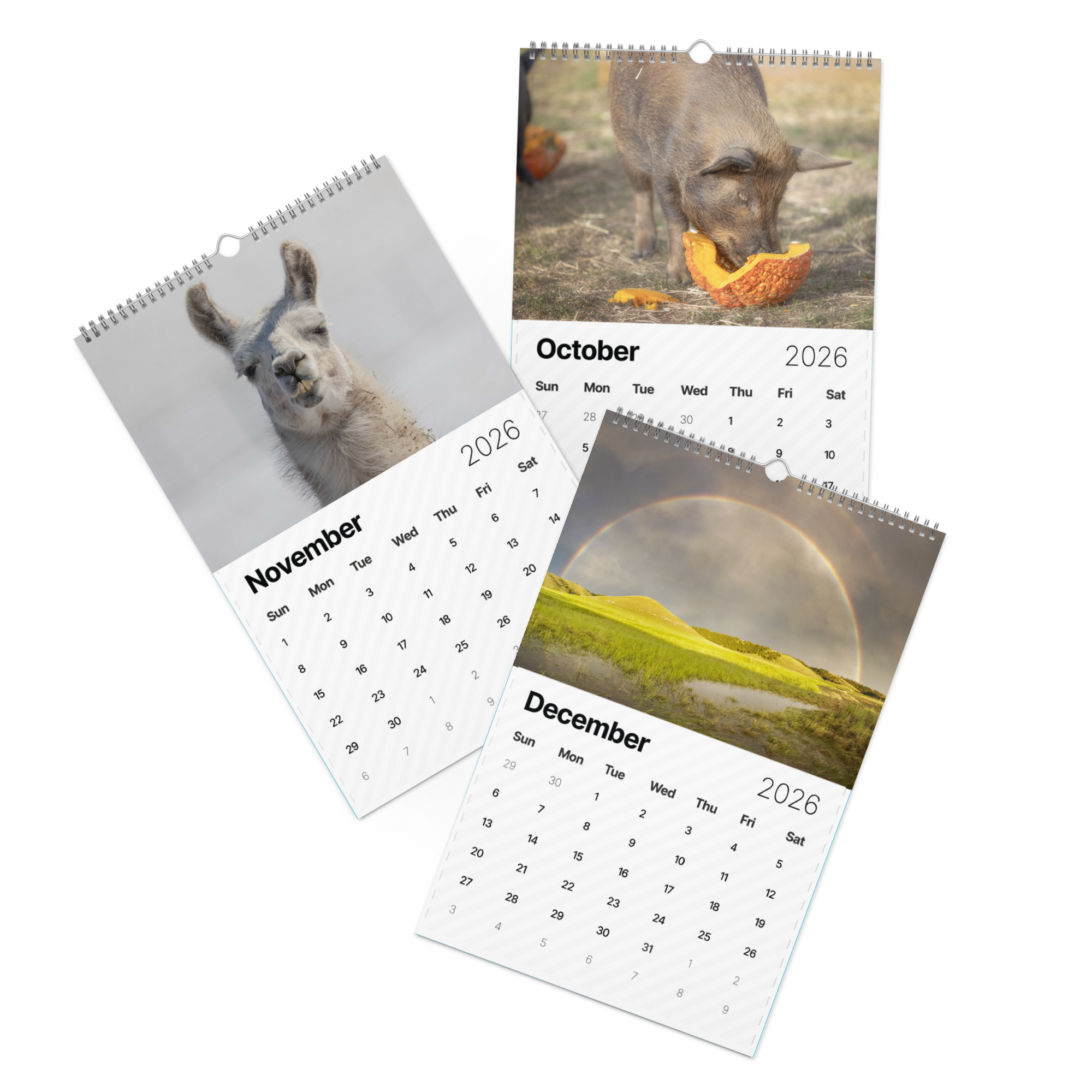 2026 "A Year of Kindness" Calendar
