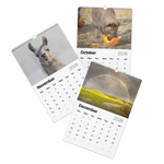 Load image into Gallery viewer, 2026 &quot;A Year of Kindness&quot; Calendar

