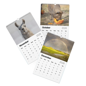 2026 "A Year of Kindness" Calendar