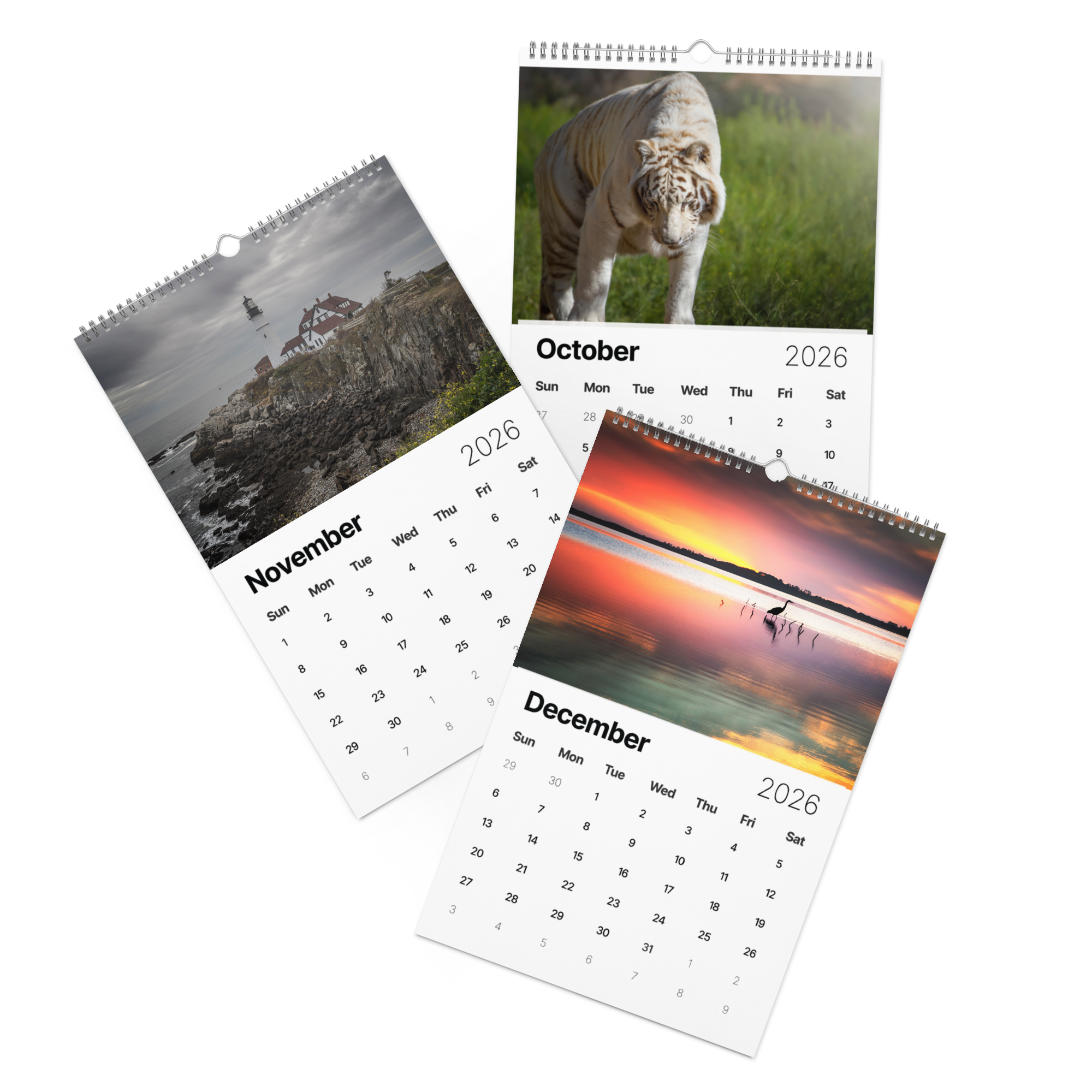 Kindness in Focus Wall calendar (2026)