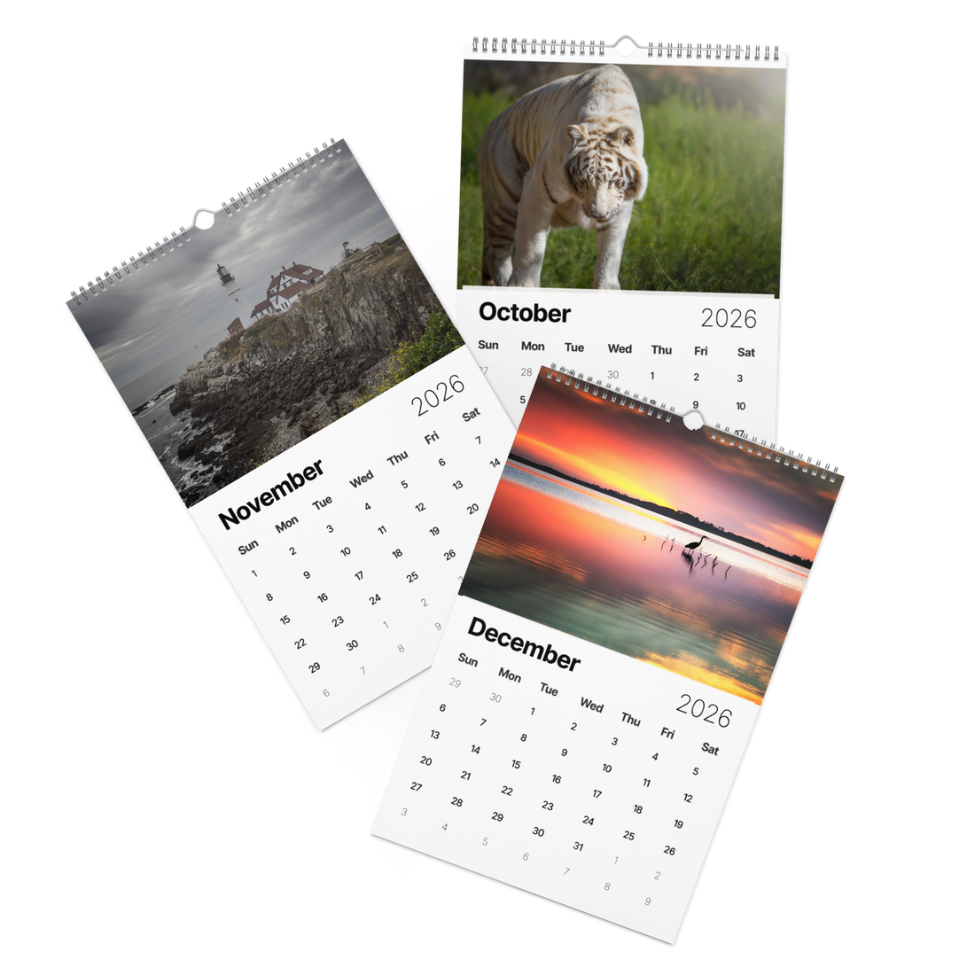 Kindness in Focus Wall calendar (2026)