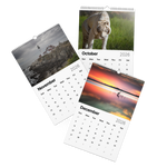 Load image into Gallery viewer, Kindness in Focus Wall calendar (2026)
