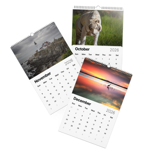 Kindness in Focus Wall calendar (2026)