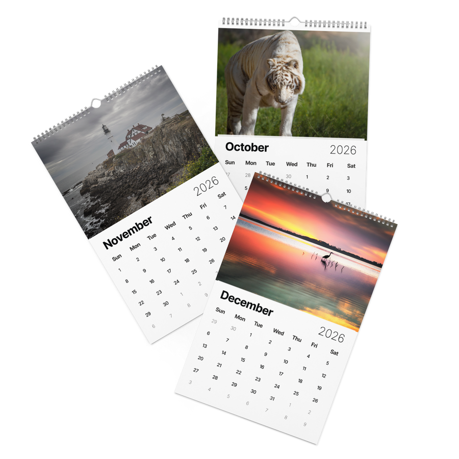 Kindness in Focus Wall calendar (2026)