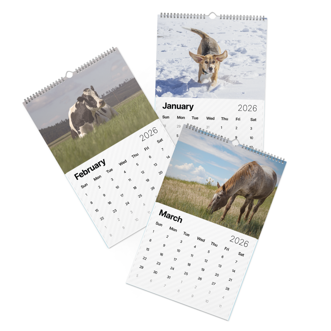 2026 "A Year of Kindness" Calendar