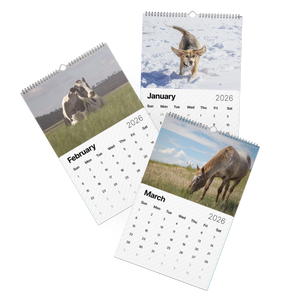 2026 "A Year of Kindness" Calendar