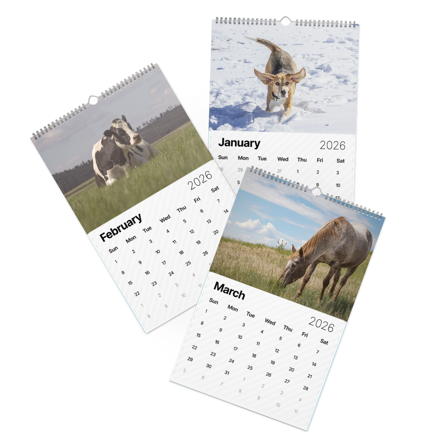 2026 "A Year of Kindness" Calendar