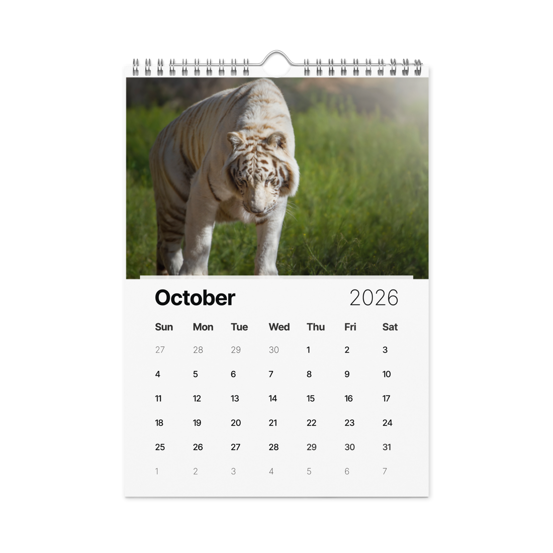 Kindness in Focus Wall calendar (2026)
