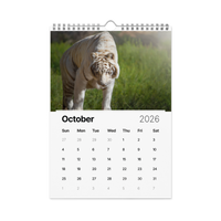 Kindness in Focus Wall calendar (2026)