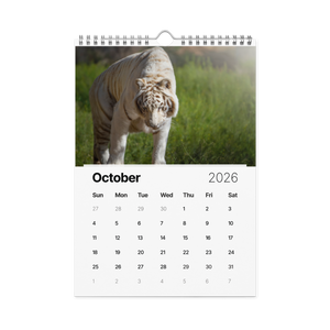 Kindness in Focus Wall calendar (2026)