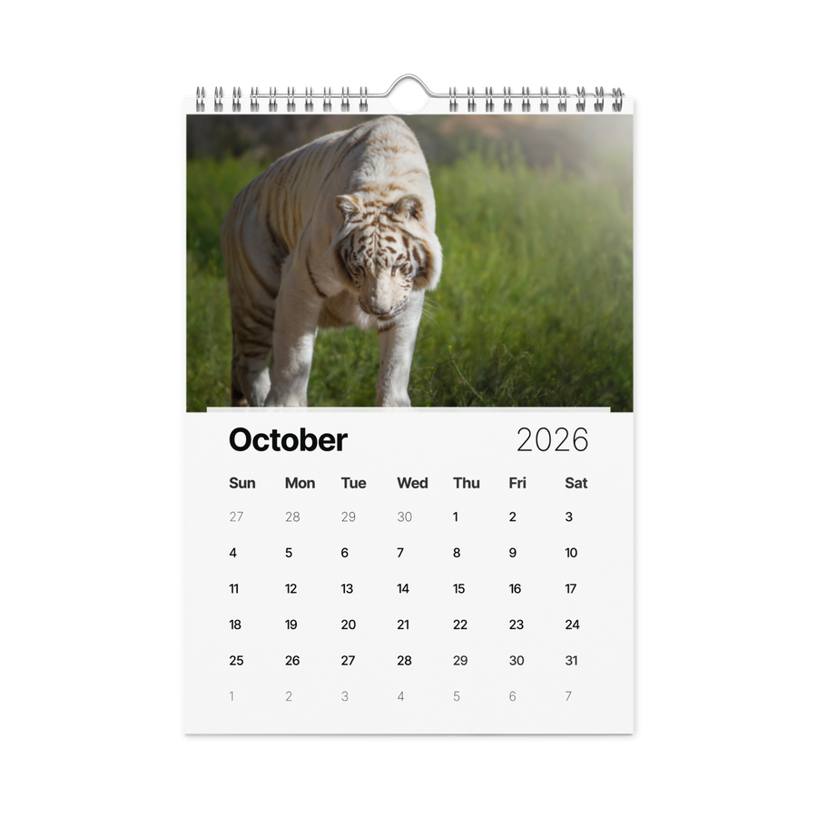 Kindness in Focus Wall calendar (2026)