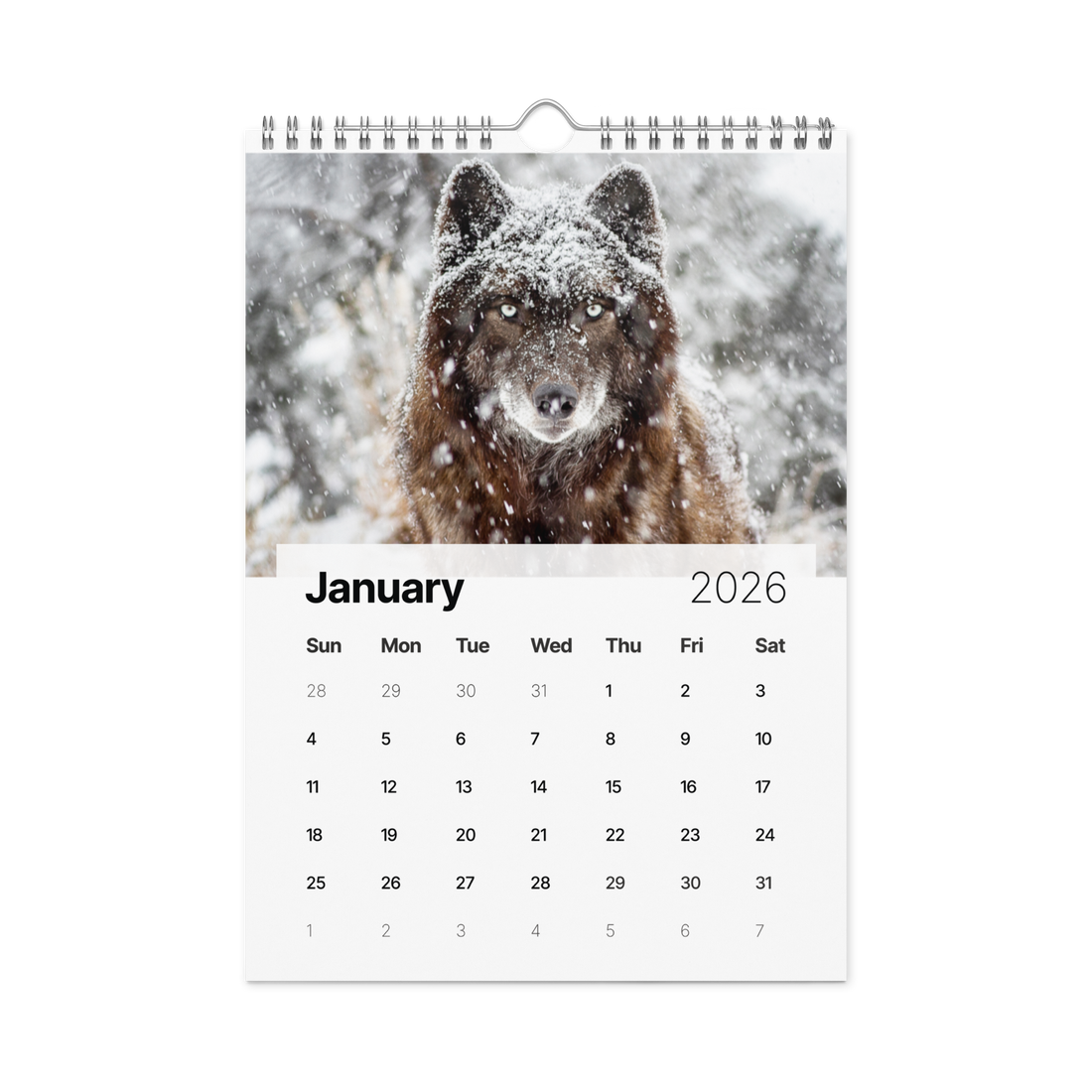 Kindness in Focus Wall calendar (2026)