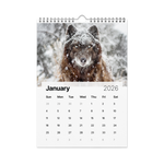 Load image into Gallery viewer, Kindness in Focus Wall calendar (2026)
