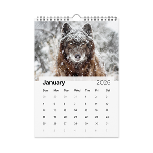 Kindness in Focus Wall calendar (2026)