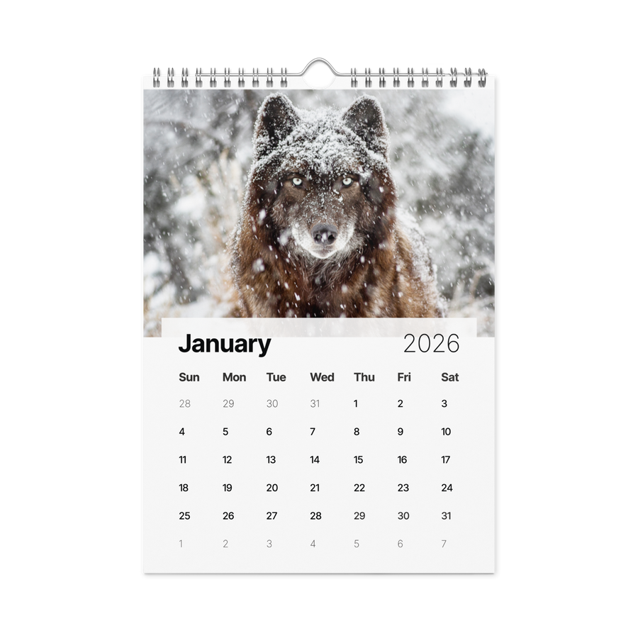 Kindness in Focus Wall calendar (2026)