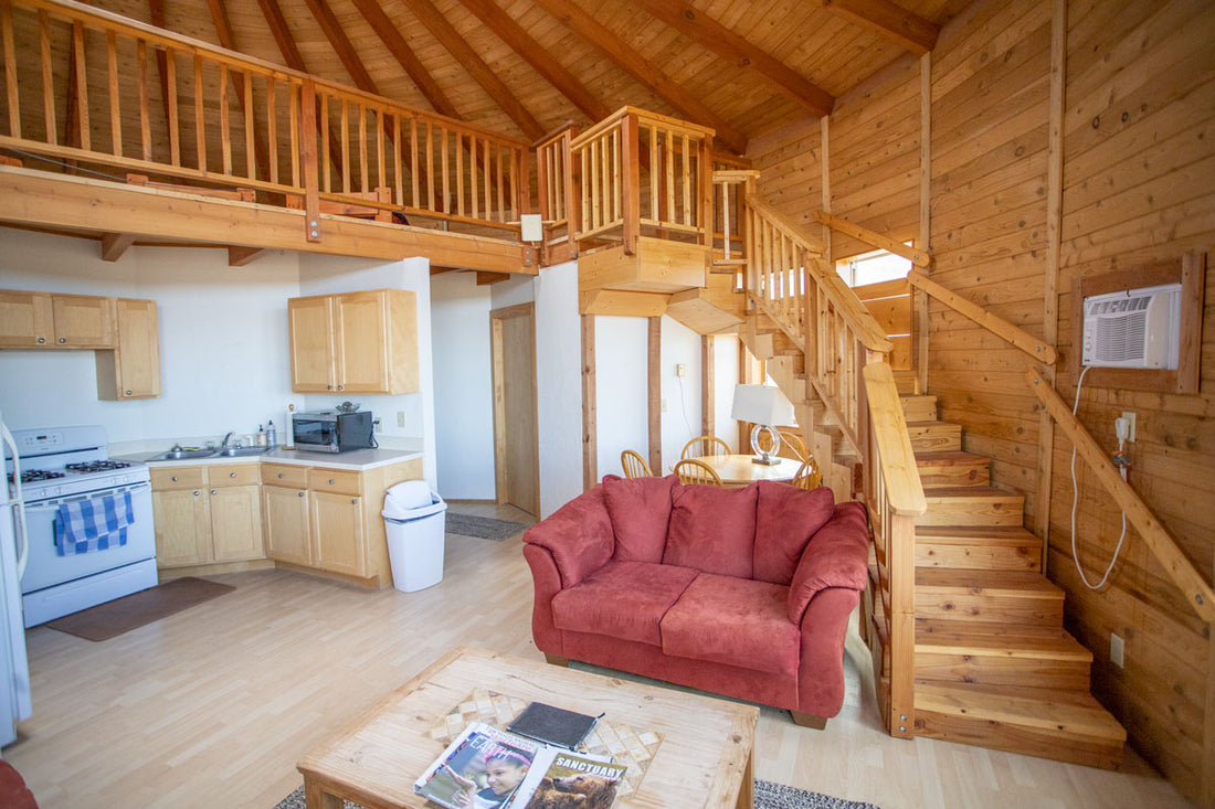 Two bedroom yurt (with steps to loft)