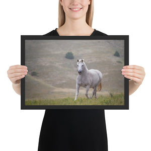 "An Old Friend" at Kindness Ranch framed poster print