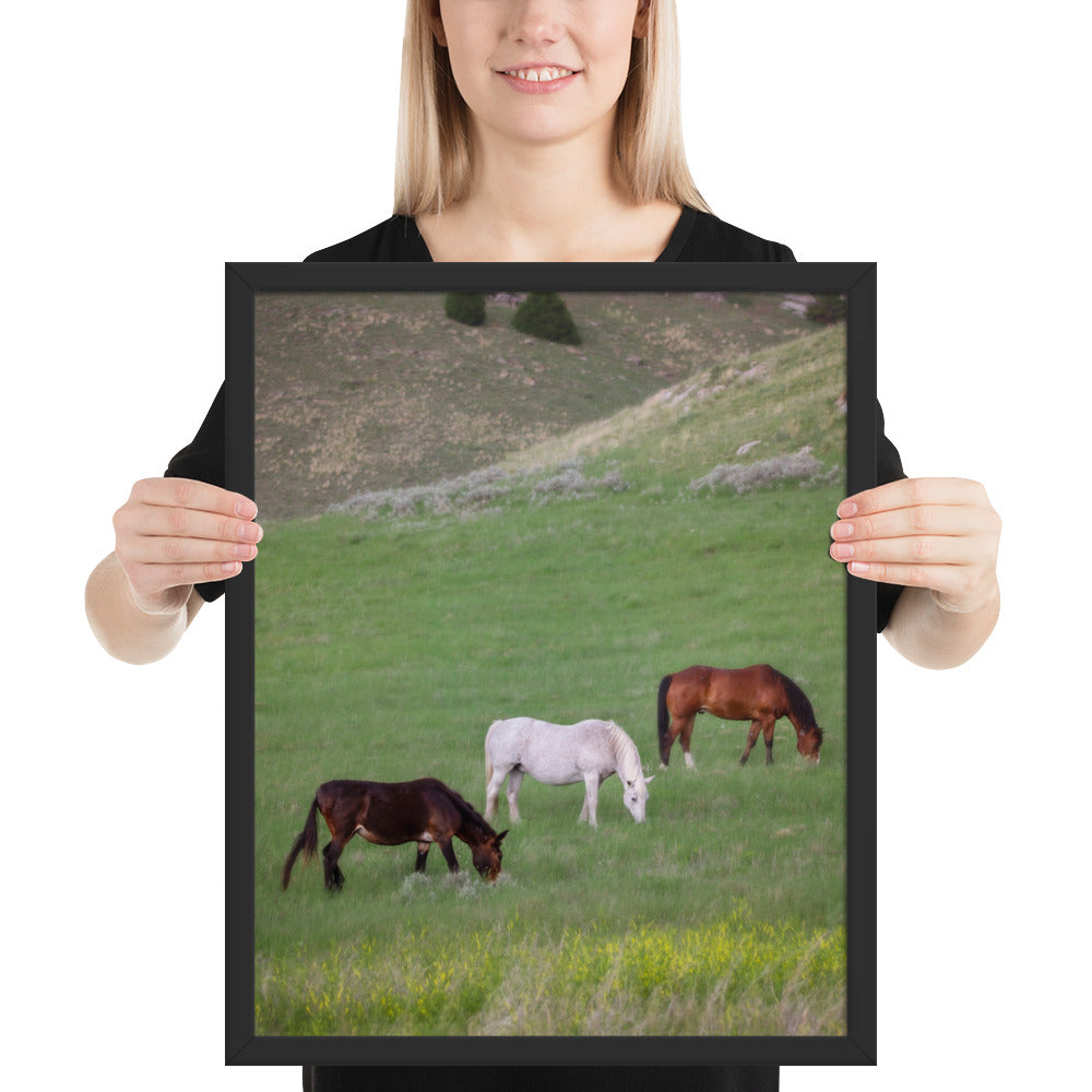 "The Trio" at Kindness Ranch framed poster print