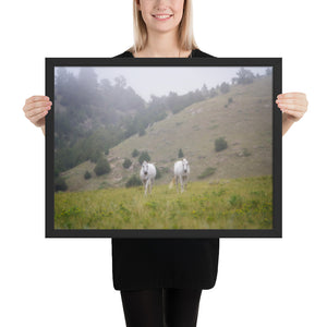 "The Twins" at Kindness Ranch framed poster print