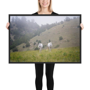 "The Twins" at Kindness Ranch framed poster print